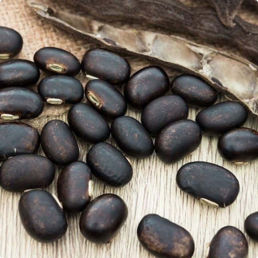 商品紹介について