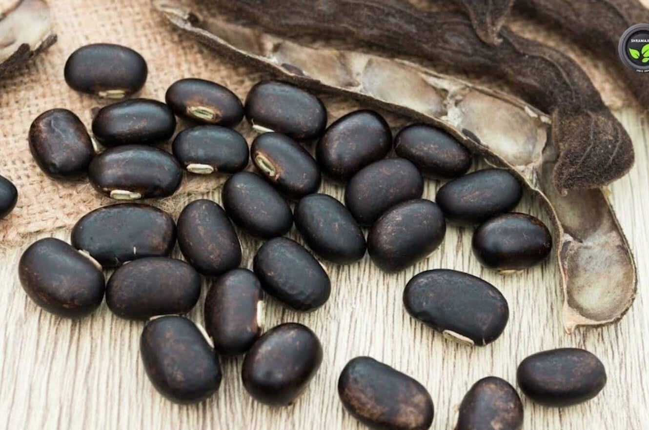 動け!黒ムクナ君/黒ムクナ豆パウダー